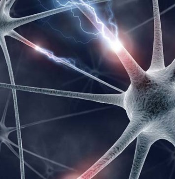 Resuscitare i morti: una società Biotech Americana ci prova resuscitare i morti