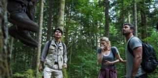 Jukai: la spaventosa storia della Foresta dei Suicidi Jukai Aokigahara - Foresta dei suicidi